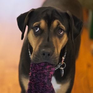 Meet your Posher, Matt